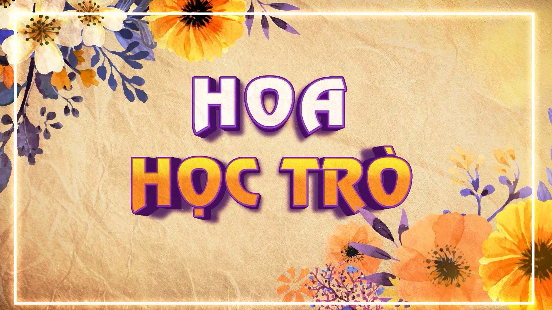 Hoa học trò (30-6-2024)